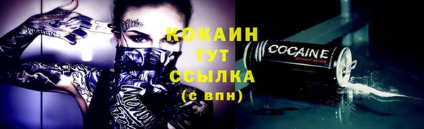 стафф Иннополис