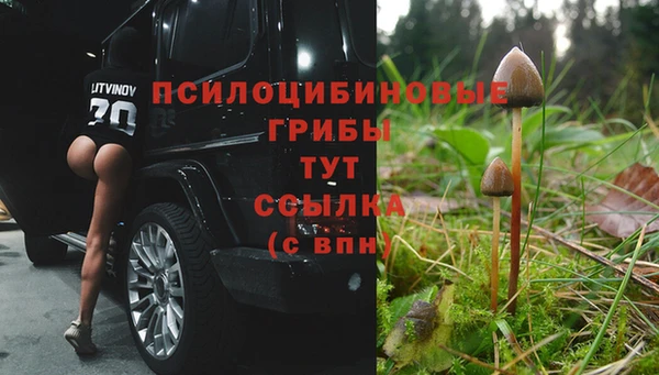 марки nbome Заволжье